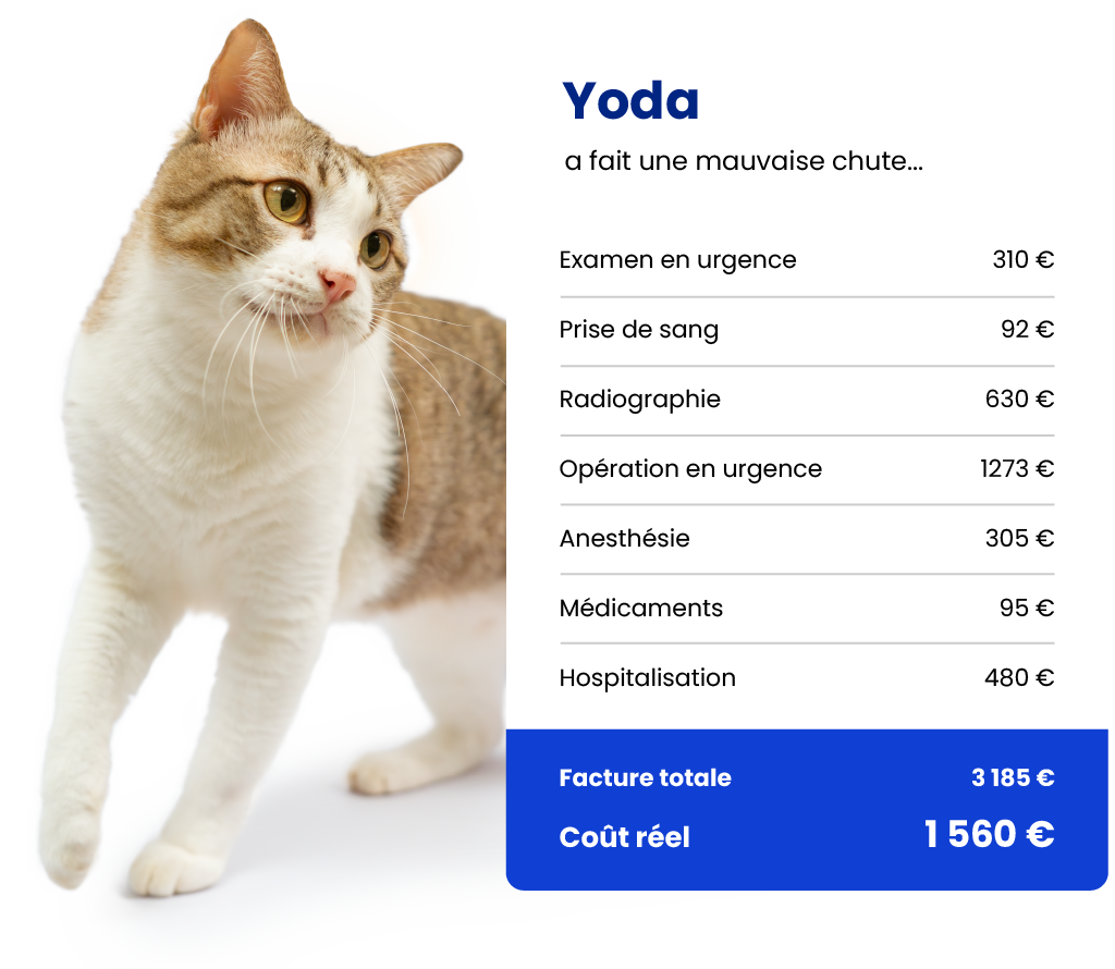 Exemple de facture vétérinaire